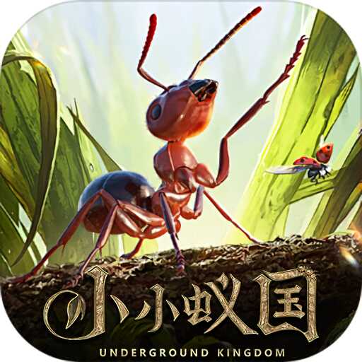 小小蚁国